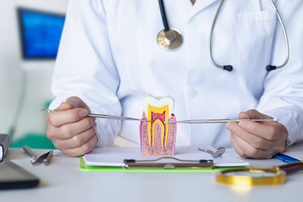 Best Root Canal Emergency Dentist  in Kendall Park, NJ